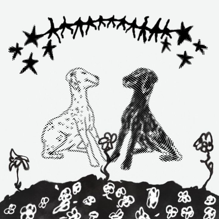 Portada de piel